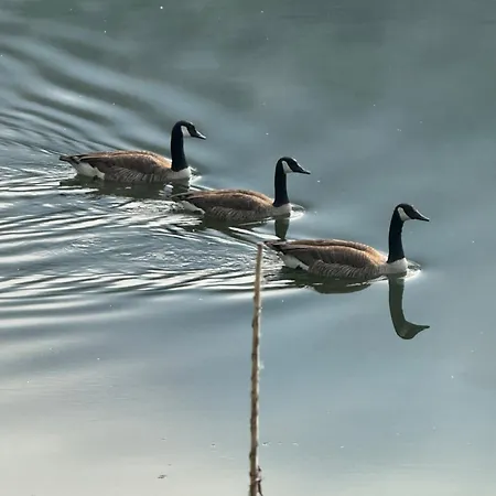 Apartmán Kaamter F Erkelsmarkt Zell an der Mosel