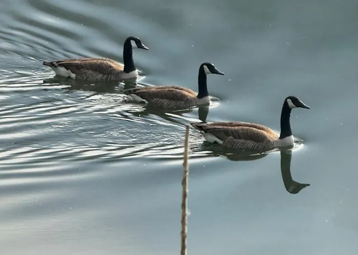 Διαμέρισμα Kaamter F Erkelsmarkt Zell an der Mosel