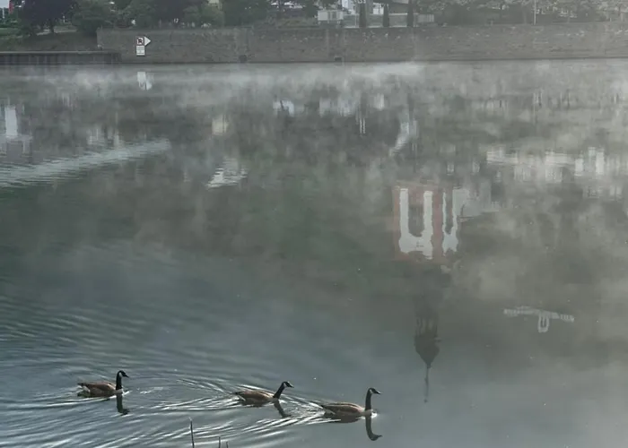 Kaamter F Erkelsmarkt Διαμέρισμα *